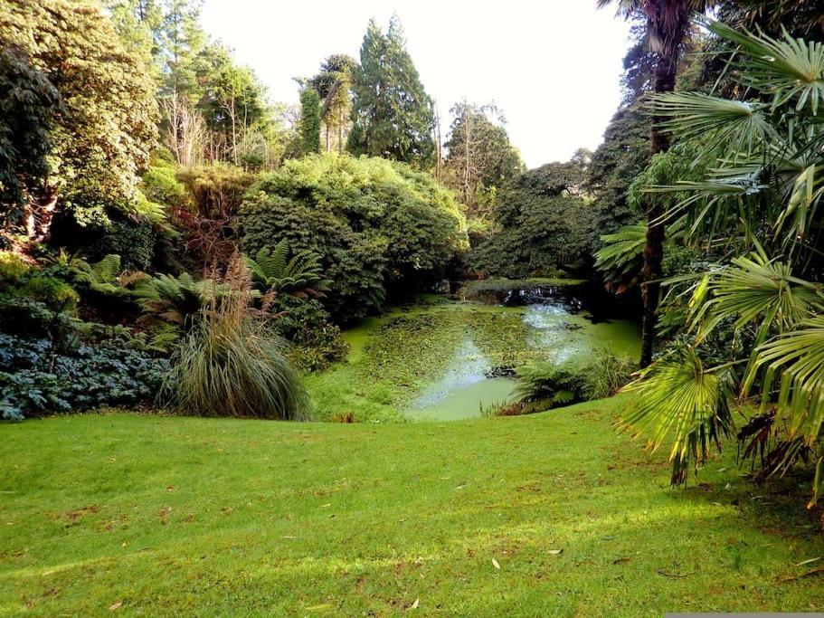 White Eden - Explore Cornwall From A Comfy Central Appartment 圣奥斯特尔 外观 照片